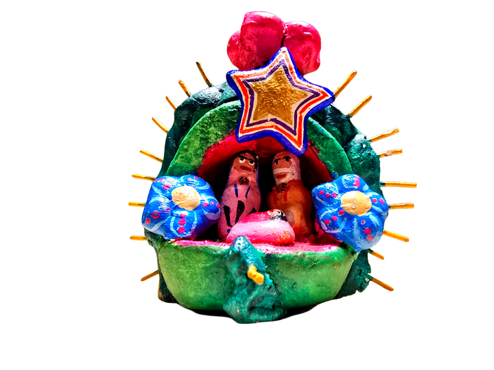 Nacimiento en Cactus